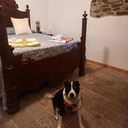 Pensión Rural Mas Blanc